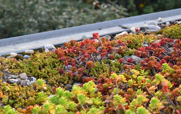 the cost of Sutton Poyntz green roof installation