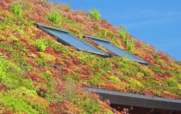 Sutton Poyntz living roof systems