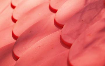 Sutton Poyntz plastic roof costs