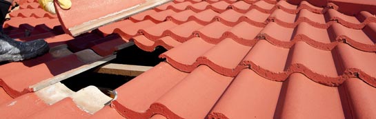 compare Sutton Poyntz roof repair quotes